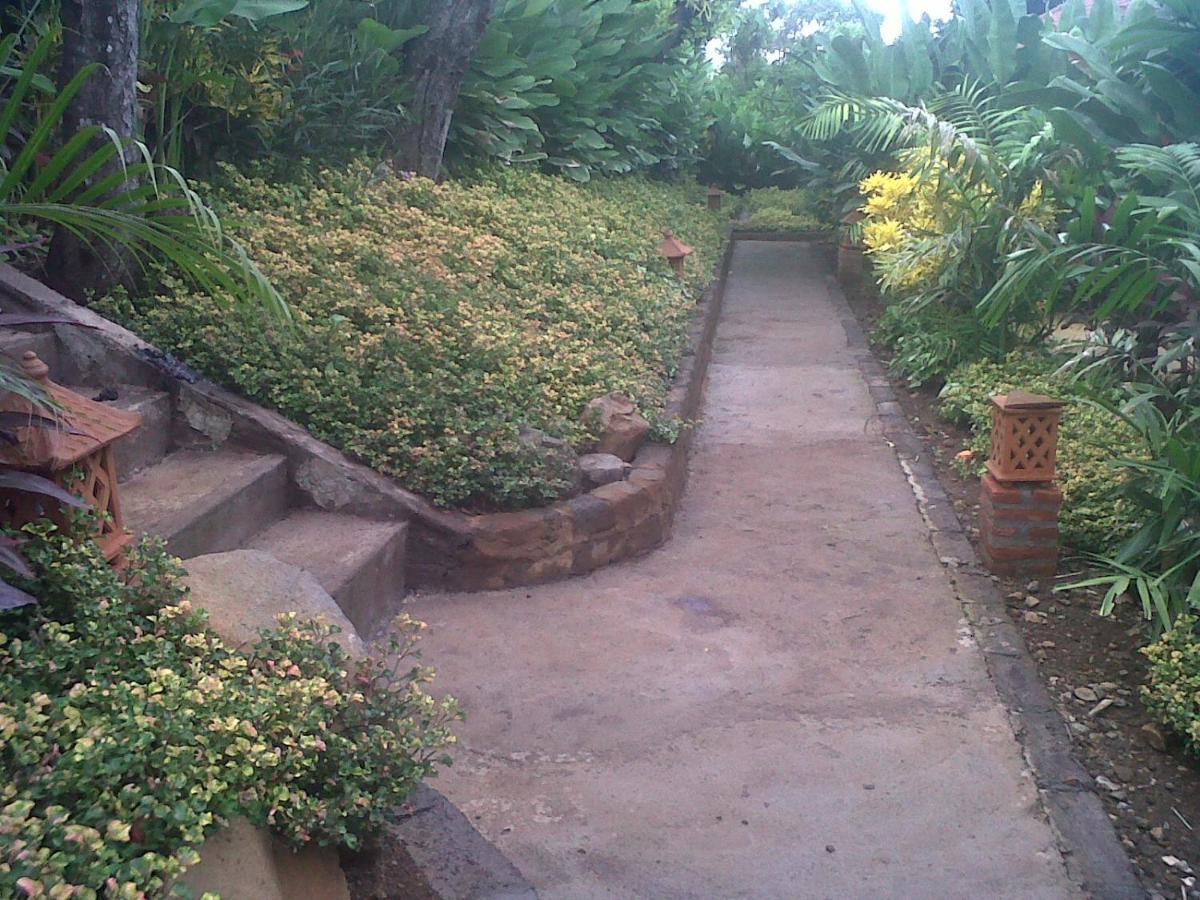 Eliska Sari Bungalows Sumberkima Pemuteran Exterior foto